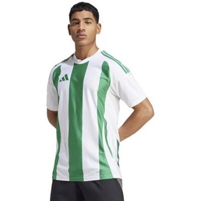 Adidas Striped 24 JSY M IW2148 tričko M Adidas Striped 24 JSY M IW2148 tričko M