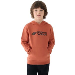 Mikina 4F M1223 Jr 4FJWAW24TSWSM1223-64S 122 Mikina 4F M1223 Jr 4FJWAW24TSWSM1223-64S 122