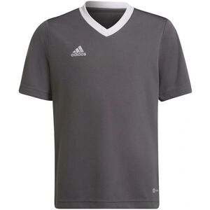 Detské tréningové tričko Entrada 22 Jsy Jr H57499 - Adidas 116 cm Detské tréningové tričko Entrada 22 Jsy Jr H57499 - Adidas 116 cm