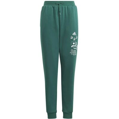 Adidas BLUV Q3 Pant Jr IA1553 152 cm Adidas BLUV Q3 Pant Jr IA1553 152 cm