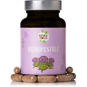 Natural Protein Pestrec mariánsky (kapsule) 1 kus Natural Protein Pestrec mariánsky (kapsule) 1 kus