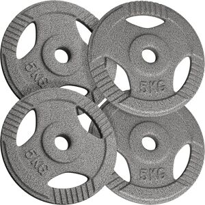 PHYSIONICS Sada činkových kotúčov 4 x 5 kg, liatina, 31 mm PHYSIONICS Sada činkových kotúčov 4 x 5 kg, liatina, 31 mm