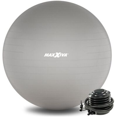 MAXXIVA® MAXXIVA Gymnastická lopta Ø 65 cm s pumpičkou, strieborná MAXXIVA® MAXXIVA Gymnastická lopta Ø 65 cm s pumpičkou, strieborná