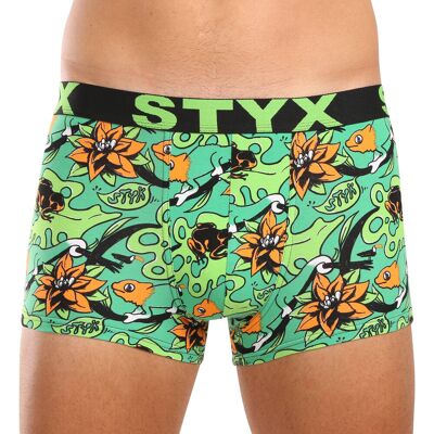 Pánske boxerky Styx art športová guma nadrozmer tropic (R1557) 5XL, trenky Pánske boxerky Styx art športová guma nadrozmer tropic (R1557) 5XL, trenky