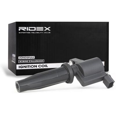 RIDEX 689C0034 Zapaľovacia cievka RIDEX 689C0034 Zapaľovacia cievka