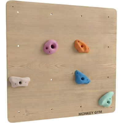 Monkey-Gym 1 modul lezeckej steny Monkey-Gym 1 modul lezeckej steny