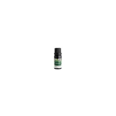 Nobilis Tilia Bergamot éterický olej 10 ml Nobilis Tilia Bergamot éterický olej 10 ml