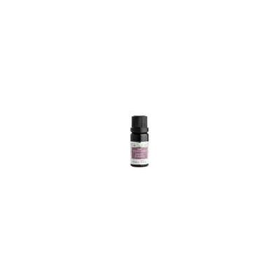 Nobilis Tilia Zmes éterických olejov Radosť zo života 10 ml Nobilis Tilia Zmes éterických olejov Radosť zo života 10 ml