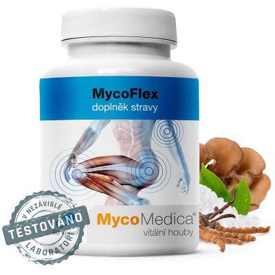 TCM POINT MycoMedica MycoFlex 90 kapsúl TCM POINT MycoMedica MycoFlex 90 kapsúl