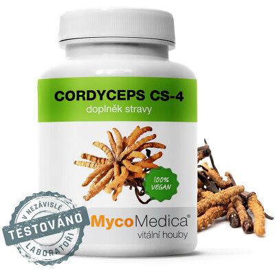TCM POINT MycoMedica Cordyceps CS-4 90 kapsúl TCM POINT MycoMedica Cordyceps CS-4 90 kapsúl