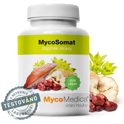 TCM POINT MycoMedica MycoSomat 90 toboliek TCM POINT MycoMedica MycoSomat 90 toboliek