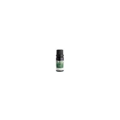 Nobilis Tilia Tea tree extra ( Čajovník ) éterický olej 10 ml Nobilis Tilia Tea tree extra ( Čajovník ) éterický olej 10 ml