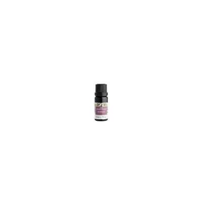 Nobilis Tilia Zmes éterických olejov Inšpirácia - 10 ml Nobilis Tilia Zmes éterických olejov Inšpirácia - 10 ml