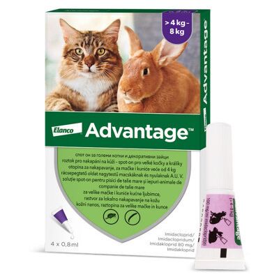KVP PHARMA + VETERINÄR PRODUK Advantage spot-on pre malé mačky a králiky 80 mg 4 x 0,8 ml KVP PHARMA + VETERINÄR PRODUK Advantage spot-on pre malé mačky a králiky 80 mg 4 x 0,8 ml