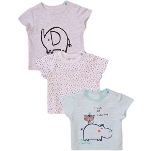 Dojčenské tričko s krátkym rukávom 3pack, Minoti, Koala 3, biela - 62/68 3-6m Dojčenské tričko s krátkym rukávom 3pack, Minoti, Koala 3, biela - 62/68 3-6m