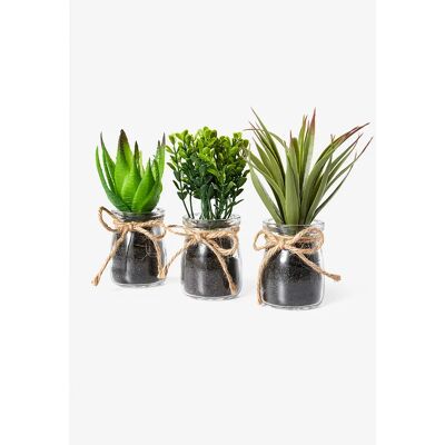 bonprix Umelá rastlina vo fľaši, 3-dielna sada Ø 10 cm unisex bonprix Umelá rastlina vo fľaši, 3-dielna sada Ø 10 cm unisex
