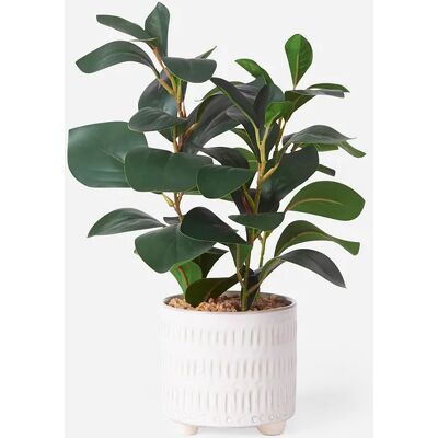 bonprix Umelohmotná rastlina v kvetináči 0 unisex bonprix Umelohmotná rastlina v kvetináči 0 unisex