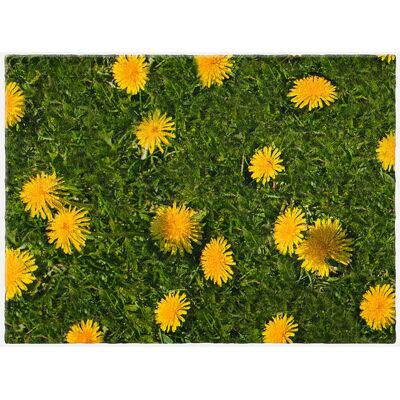 bonprix Rohožka s púpavou 40/60 cm unisex bonprix Rohožka s púpavou 40/60 cm unisex