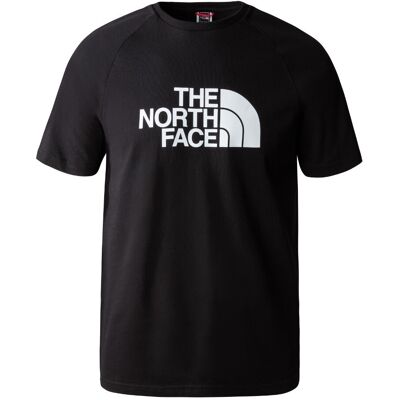 The North Face M S/S RAGLAN EASY TEE Pánske tričko US L The North Face M S/S RAGLAN EASY TEE Pánske tričko US L