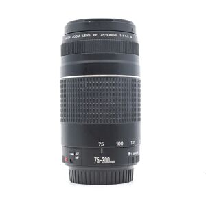 Used Canon EF 75-300mm f/4-5.6 III