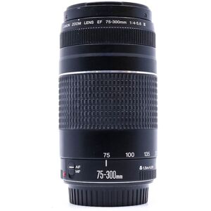 Used Canon EF 75-300mm f/4-5.6 III