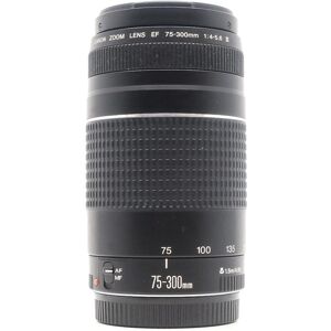 Used Canon EF 75-300mm f/4-5.6 III