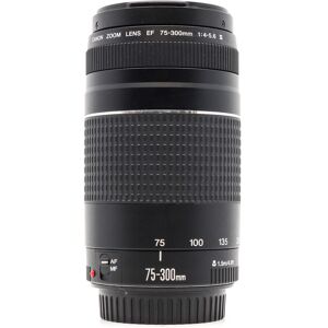 Used Canon EF 75-300mm f/4-5.6 III