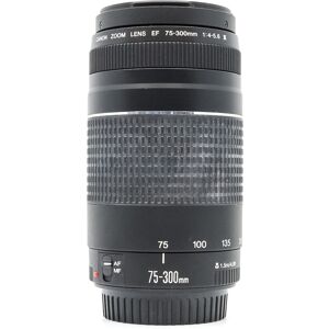 Used Canon EF 75-300mm f/4-5.6 III