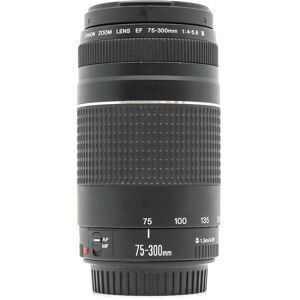 Used Canon EF 75-300mm f/4-5.6 III