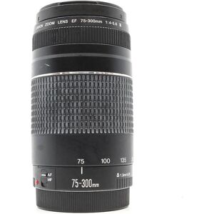 Used Canon EF 75-300mm f/4-5.6 III