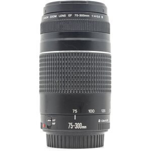 Used Canon EF 75-300mm f/4-5.6 III