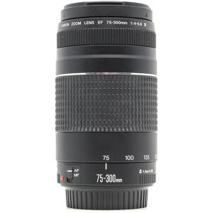 Used Canon EF 75-300mm f/4-5.6 III