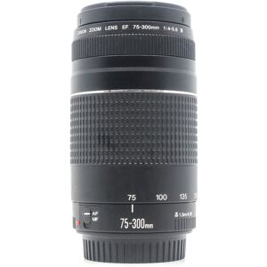 Used Canon EF 75-300mm f/4-5.6 III