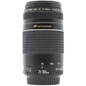 Used Canon EF 75-300mm f/4-5.6 III USM