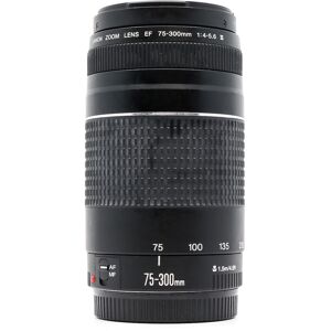 Used Canon EF 75-300mm f/4-5.6 III