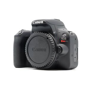 Used Canon EOS Rebel SL2