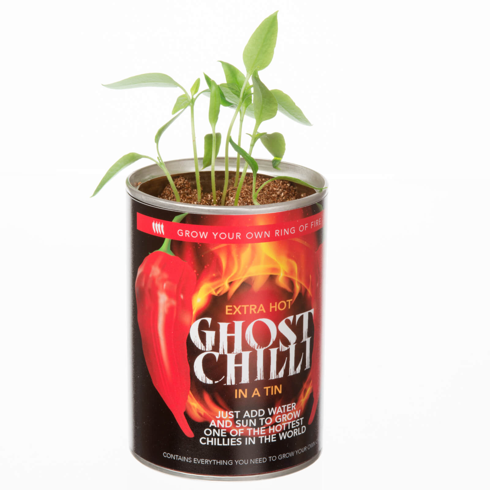 Grow Your Own Ghost Chilli-unisex