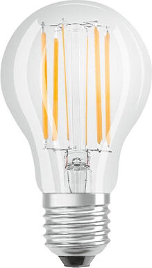 Osram E27 LED lamp A67 helder 7W 806 lm 2700K