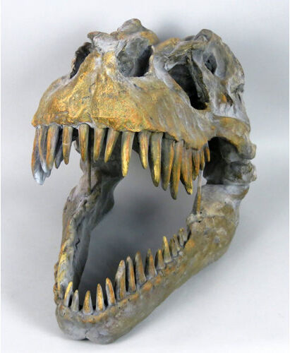 Happy Larry T-Rex Dinosaur Skull Figurine Happy Larry Small Happy Larry T-Rex Dinosaur Skull Figurine Happy Larry Small