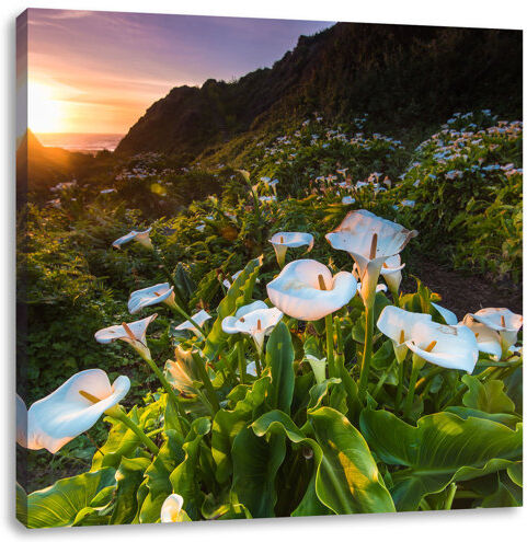 East Urban Home Wonderful Flower Meadow in the Mountains Photographic Print on Canvas East Urban Home  - Size: 60cm H x 60cm W East Urban Home Wonderful Flower Meadow in the Mountains Photographic Print on Canvas East Urban Home  - Size: 60cm H x 60cm W