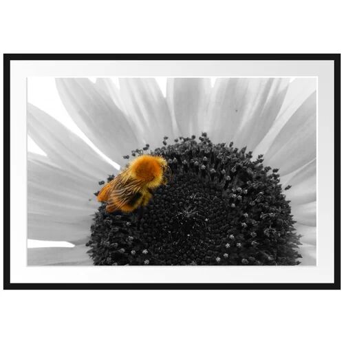 East Urban Home Sweet Bee on Large Sunflower Framed Photographic Print Poster East Urban Home Size: 70cm H x 100cm W  - Size: 80cm H x 60cm W