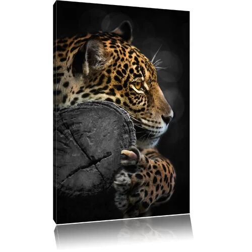East Urban Home Magnificent Leopard on a Tree Trunk Photographic Print on Canvas East Urban Home  - Size: 80cm H x 60cm W