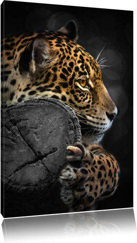 East Urban Home Magnificent Leopard on a Tree Trunk Photographic Print on Canvas East Urban Home  - Size: 80cm H x 60cm W East Urban Home Magnificent Leopard on a Tree Trunk Photographic Print on Canvas East Urban Home  - Size: 80cm H x 60cm W