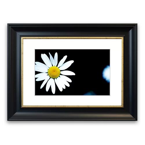 East Urban Home 'Single White Daisy Cornwall Flowers' Framed Photographic Print East Urban Home Size: 93 cm H x 126 cm W, Frame Options: Black  - Size: 93 cm H x 126 cm W