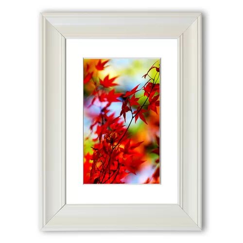 East Urban Home 'Autumn Leaves 1 Cornwall' Framed Photographic Print East Urban Home Size: 50 cm H x 70 cm W, Frame Options: Matte White  - Size: 93 cm H x 126 cm W