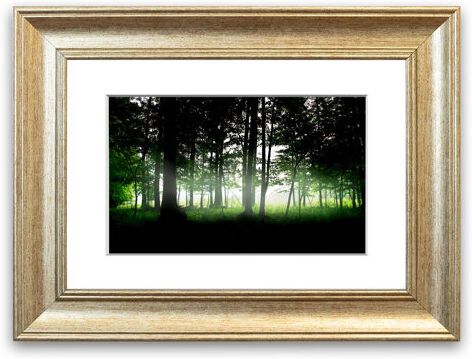 East Urban Home 'Woodland Mist' Framed Photographic Print East Urban Home Size: 93 cm H x 126 cm W, Frame Options: Silver  - Size: 93 cm H x 126 cm W East Urban Home 'Woodland Mist' Framed Photographic Print East Urban Home Size: 93 cm H x 126 cm W, Frame Options: Silver  - Size: 93 cm H x 126 cm W