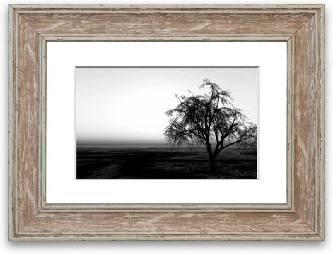 East Urban Home 'The Way the Wind Blows' Framed Photographic Print East Urban Home Size: 93 cm H x 70 cm W, Frame Options: Walnut Washed  - Size: 93 cm H x 70 cm W East Urban Home 'The Way the Wind Blows' Framed Photographic Print East Urban Home Size: 93 cm H x 70 cm W, Frame Options: Walnut Washed  - Size: 93 cm H x 70 cm W