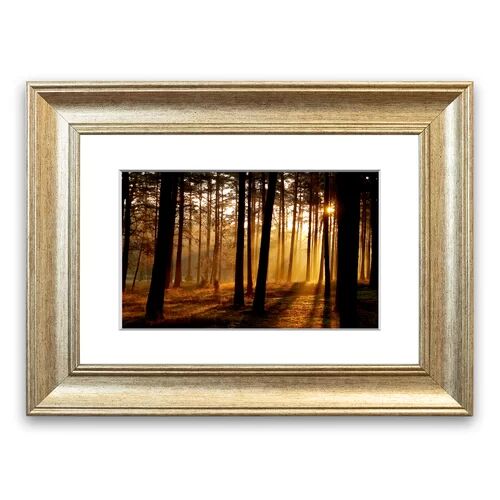 East Urban Home 'Morning Woodland Sun Mist' Framed Photographic Print East Urban Home Size: 93 cm H x 70 cm W, Frame Options: Silver  - Size: 93 cm H x 70 cm W East Urban Home 'Morning Woodland Sun Mist' Framed Photographic Print East Urban Home Size: 93 cm H x 70 cm W, Frame Options: Silver  - Size: 93 cm H x 70 cm W