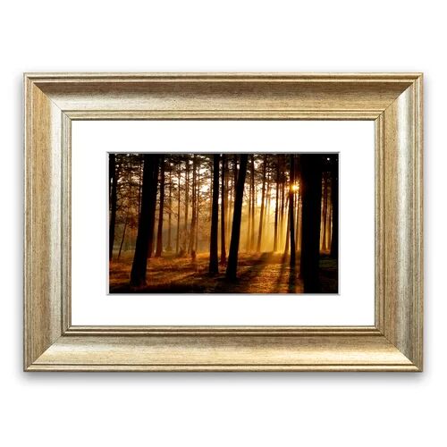 East Urban Home 'Morning Woodland Sun Mist' Framed Photographic Print East Urban Home Size: 93 cm H x 70 cm W, Frame Options: Silver  - Size: 93 cm H x 70 cm W