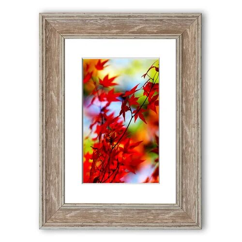 East Urban Home 'Autumn Leaves 1 Cornwall' Framed Photographic Print East Urban Home Size: 93 cm H x 126 cm W, Frame Options: Walnut  - Size: 93 cm H x 70 cm W